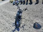 2021 Harley-Davidson Fxbbs