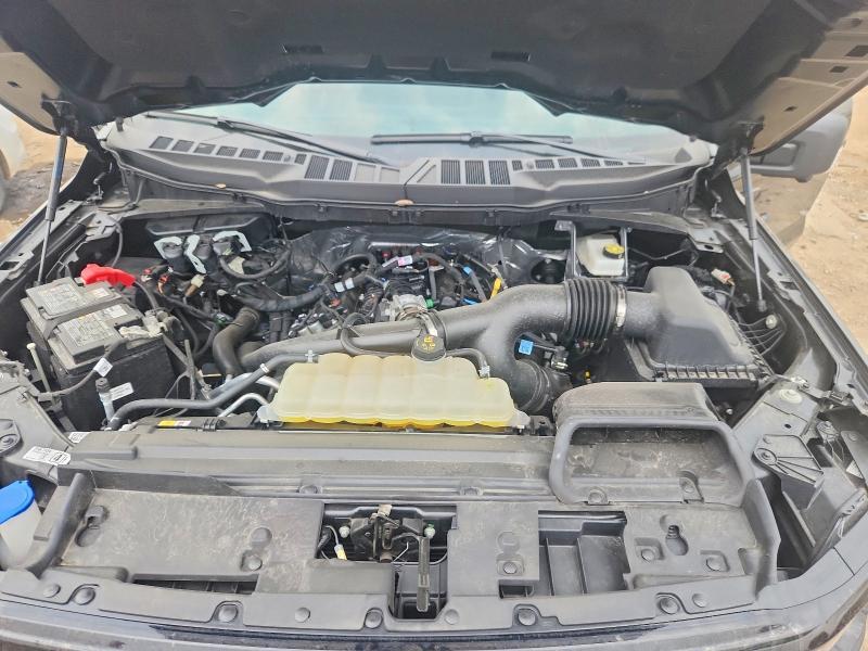 2025 Ford F150 XLT