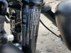 2021 Harley-Davidson XL883 N