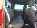 2024 Ford F150 STX