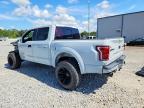 2017 Ford F150 Raptor