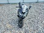 2024 Kawasaki ZX400 P