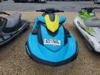 2023 YAM Jetski