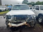 2008 Toyota Tacoma V6