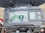 2025 Other Qmax 200