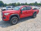 2019 Toyota Tacoma TRD OFF-Road