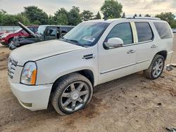 2007 Cadillac Escalade Luxury for sale in Elgin, IL