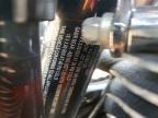 2025 Harley-Davidson Fltrx