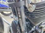 2021 Harley-Davidson Flhx