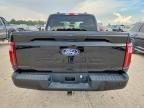 2024 Ford F150 STX