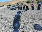 2021 Harley-Davidson Fxbbs