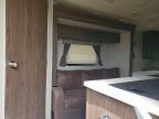 2019 Rockwood 2019 Forest River Rockwood Mini Lite Camper