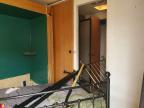 2010 Keystone Hornet