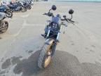 2023 Honda CMX500 A