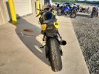 2024 Suzuki GSX800 F