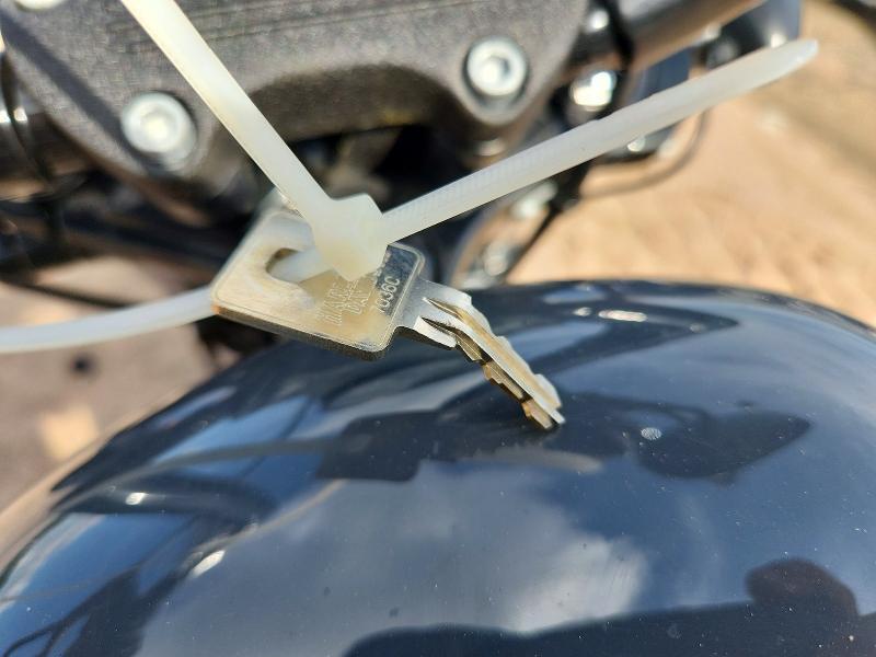 2022 Harley-Davidson XL883 N