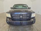 2010 Dodge Dakota SXT