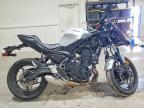 2026 Kawasaki EX650 P