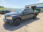 2008 Dodge Dakota Quattro