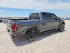 2019 Ford F150 Raptor