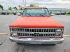 1981 Chevrolet C10