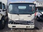 2023 Isuzu NPR HD