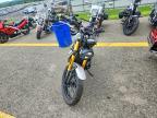 2026 Triumph Scrambler 900