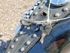2005 Harley-Davidson XL883 L