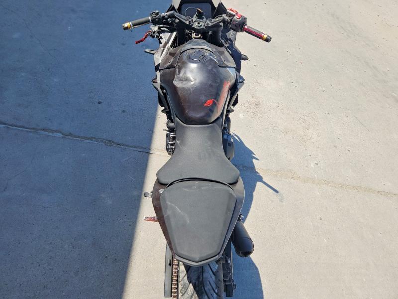 2024 Suzuki GSX800 F