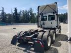 2019 Freightliner Cascadia 126 Semi Truck