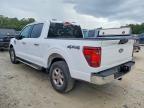 2025 Ford F150 XLT