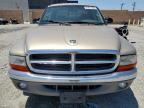 2003 Dodge Dakota Quad SLT