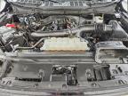 2025 Ford F150 XLT
