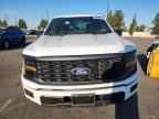 2024 Ford F150 STX
