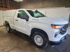 2023 Chevrolet Silverado C1500