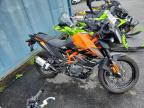 2024 KTM 390 Adventure