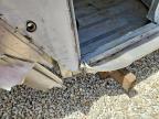 2002 Exxiss Horse Trailer