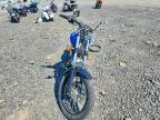 2019 Suzuki LS650