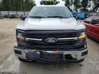 2025 Ford F150 XLT