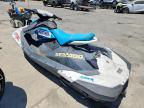 2019 Sea-Doo Spark 900 ACE