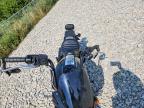 2022 Indian Motorcycle Co. Scout Rogue ABS
