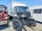 2025 International MV607 BOX Truck