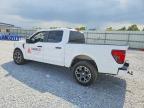 2024 Ford F150 STX