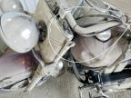 1996 Harley-Davidson Flstc