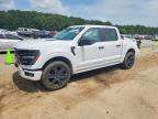 2026 Ford F150 STX