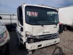 2023 Isuzu NPR HD
