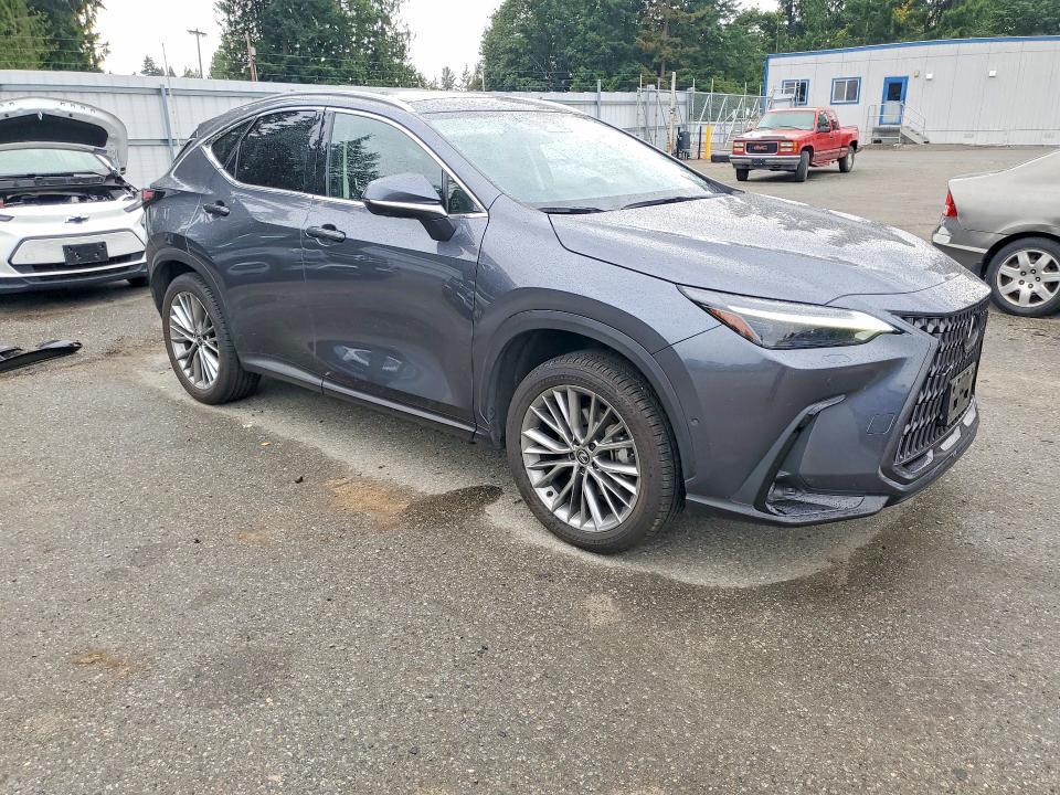 2024 Lexus Nx 350h Luxury