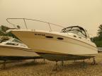 1999 Seadoo 1999 SEA RAY Boat-Boat