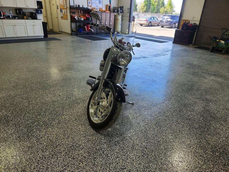 1993 Harley-Davidson Flstf