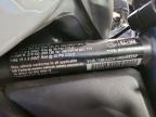 2024 Harley-Davidson RH1250 S
